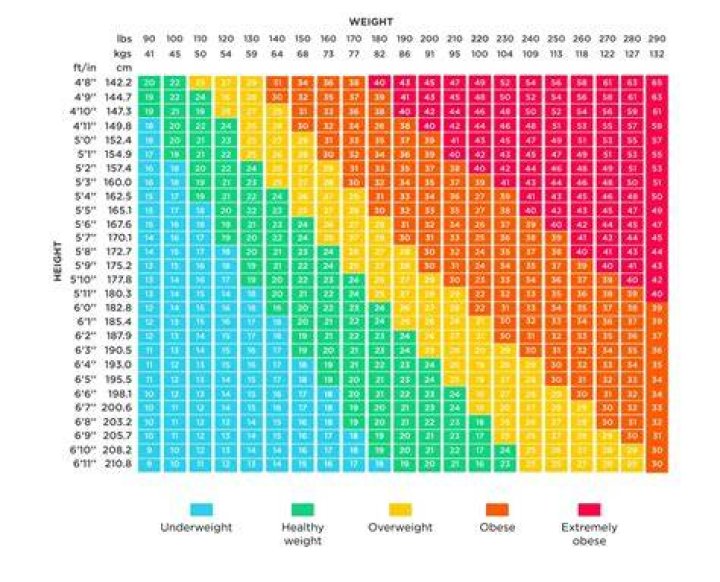 159センチ46キロの体型は？BMI・見た目・健康リスクを徹底解説