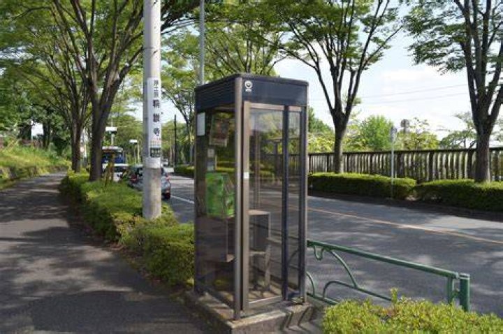 八王子霊園 電話ボックス 心霊スポット
